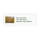 Search for maple tree return address labels Orange