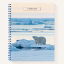 Search for polar bear notebooks Arctic