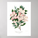 Search for azaleas art Illustration
