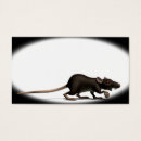 Search for pest control Vermin