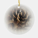 Search for conifer christmas tree decorations Pine