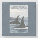 Search for whales coasters Orca
