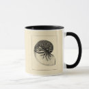 Search for white shell mugs Seashells