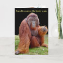 Search for vasectomy cards For him