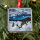 Search for canada christmas tree decorations Canadian rockies