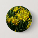 Search for spring daffodils badges Nature