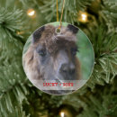 Search for llama christmas tree decorations Cute