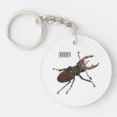 Search for stag beetle key rings Insect