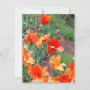 Search for flames vertical postcards Sunset