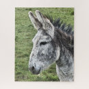 Search for donkey puzzles Cute