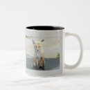 Search for vixen mugs Animals