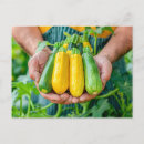 Search for crate postcards Produce