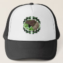 Search for kiwi hats Bird