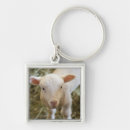 Search for baby lamb key rings Nature