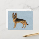 Search for gsd postcards German shepherd