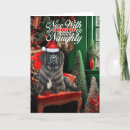 Search for newfoundland dog christmas cards Pets