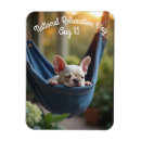 Search for relax magnets Celebrate