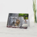 Search for cute chipmunk cards Rodent