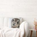 Search for cute seal pup Wildlife