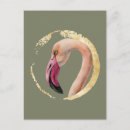 Search for bird lovers postcards Wildlife