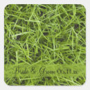 Search for lawn games stickers Backyard