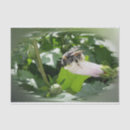 Search for bee tissue paper Green