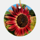 Search for sunflower christmas tree decorations Red