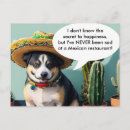 Search for perros postcards Funny