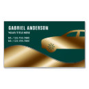 Search for chauffeur magnets Transportation