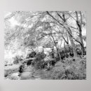 Search for airy posters Landscape