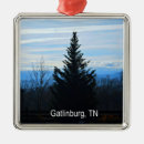 Search for great smoky mountains christmas tree decorations Smokies