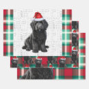 Search for labradoodle wrapping paper Pets