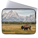 Search for bison electronics Landscape