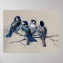Search for bluebird art Antique