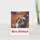 Search for bull terrier christmas cards Cute