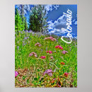 Search for colorado spring art Mountains