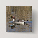 Search for anas accessories Waterfowl