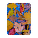 Search for recreational magnets Colourful
