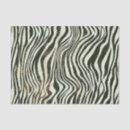 Search for zebra tissue paper Safari