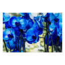 Search for orchids online art Blue