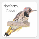 Search for flickers stickers Nature