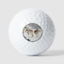 Search for snow golf balls Wolf