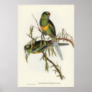 Search for barnard posters Vintage