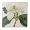 Search for large flower tiles Botanical