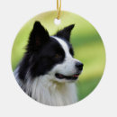 Search for border collie memorial gifts Animal