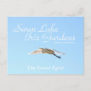Search for garden birds postcards Gardens