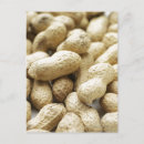 Search for bean vertical postcards Food and drink