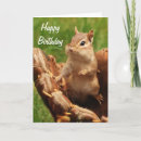 Search for play baseball cards Cute