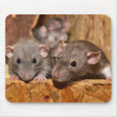 Search for iron mouse mats Cute