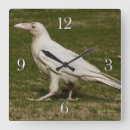 Search for corvids art Wildlife